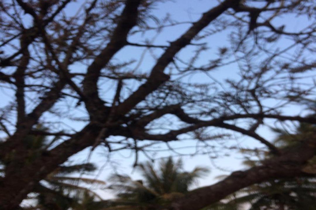 Photo of Others in Mudigere