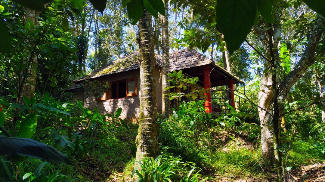 Photo of Others in Thekkady