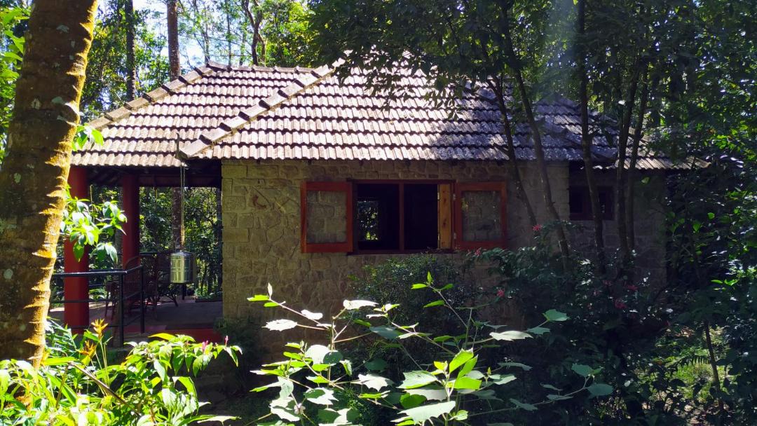 Photo of Others in Thekkady