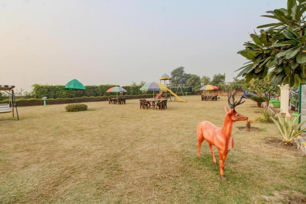 Photo of Outdoor in Vrindavan