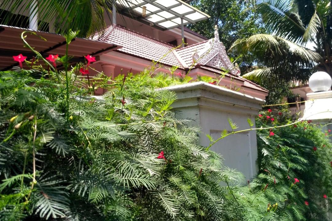 Photo of Others in Nedumbassery