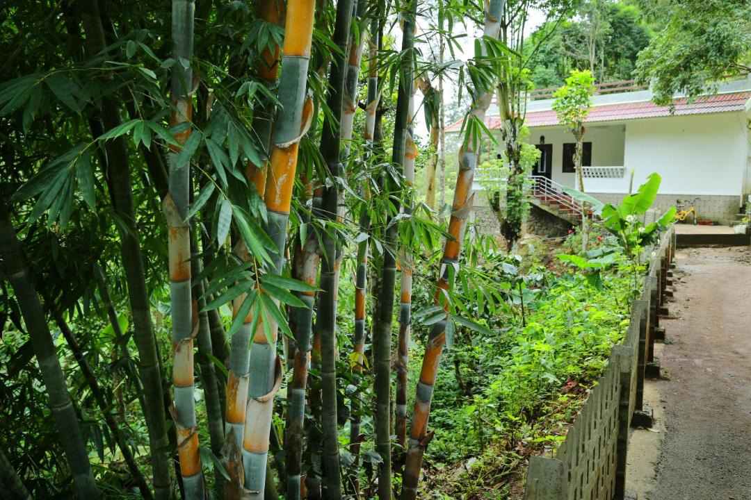 Photo of Others in Pirmed