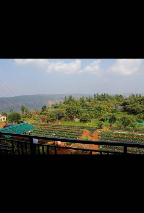 Photo of Others in Mahabaleshwar