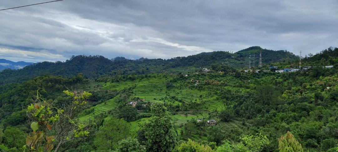 Photo of Others in Champawat