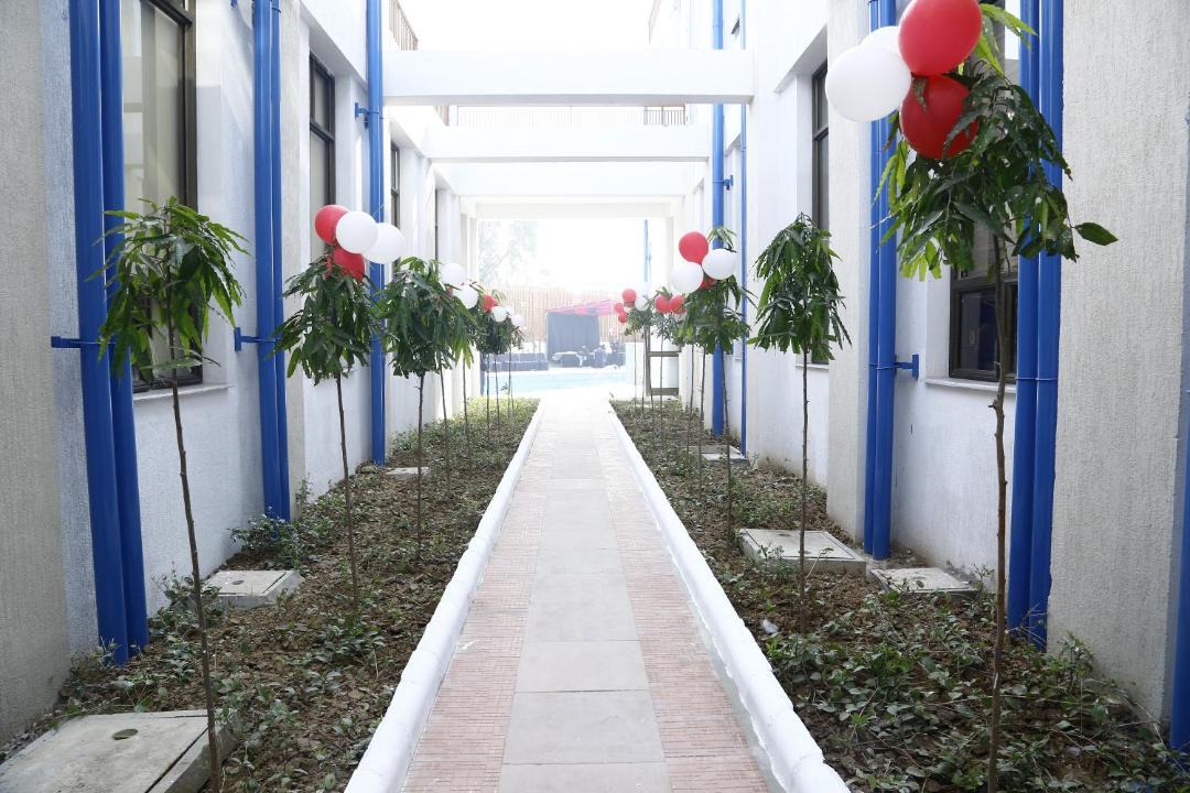 Photo of Others in Mohali