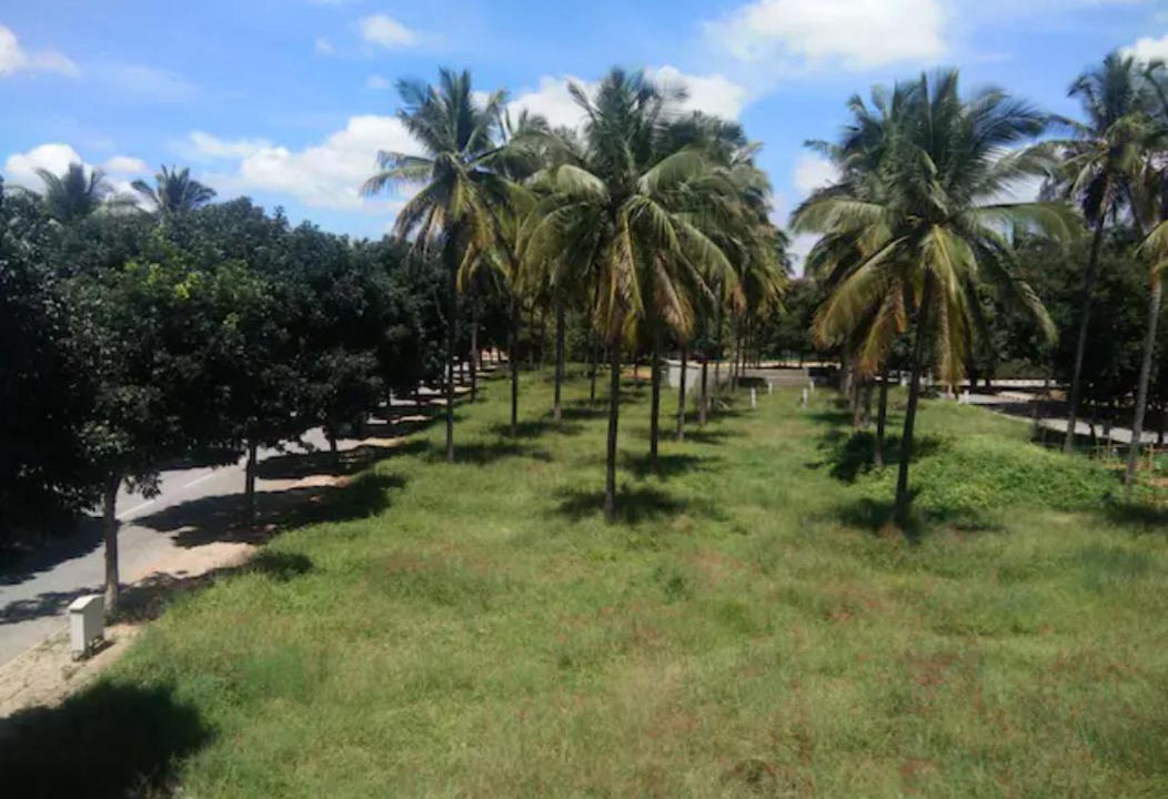 Photo of Others in Narasapura