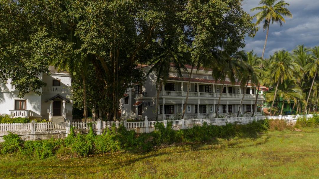 Photo of Buildings in Siolim