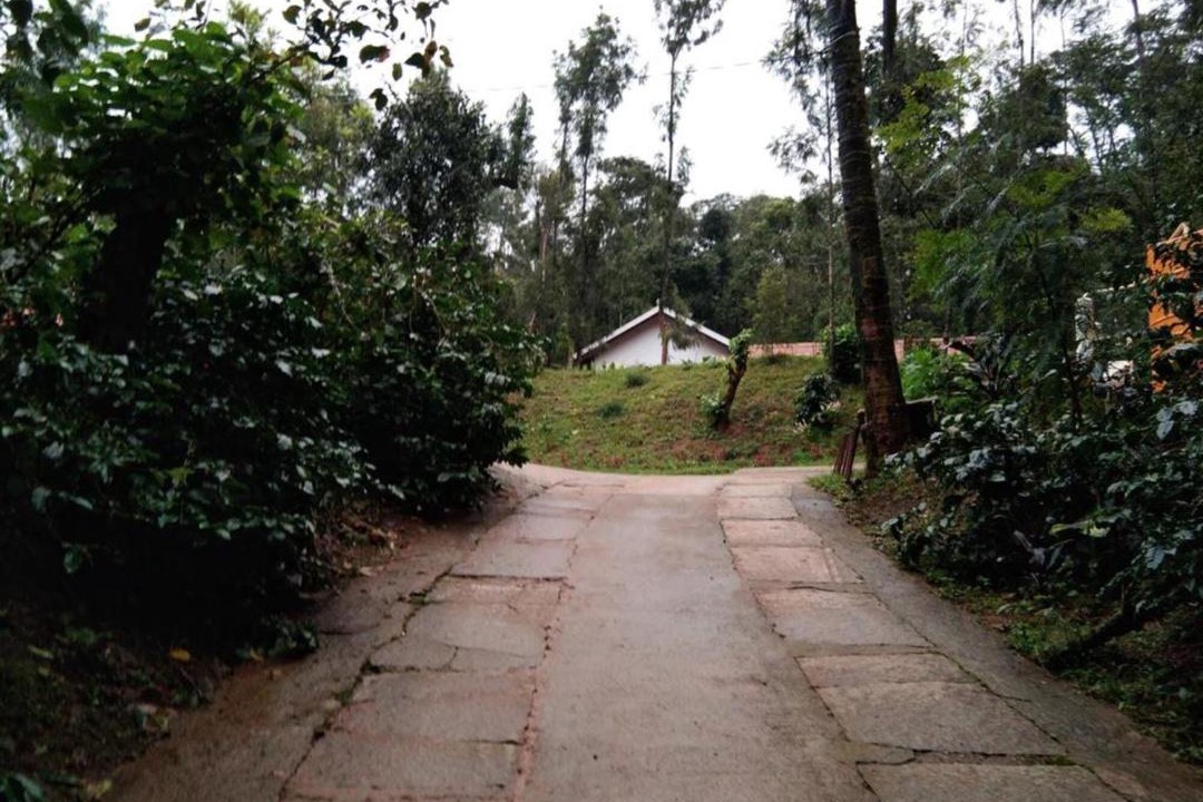 Photo of Others in Chikkamagaluru
