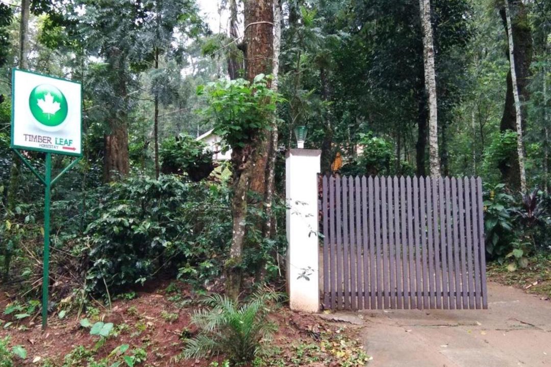 Photo of Buildings in Chikkamagaluru