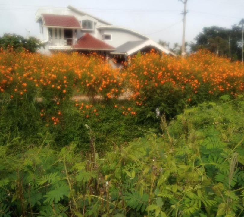 Photo of Others in Meenangadi