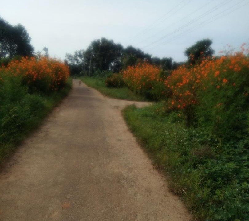 Photo of Others in Meenangadi