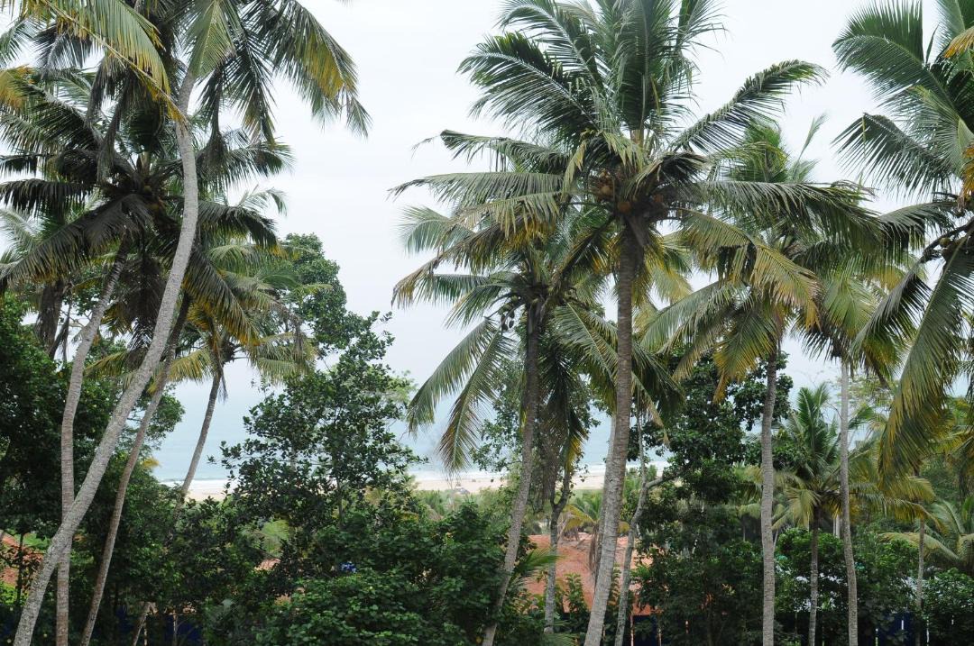 Photo of Others in Chowara