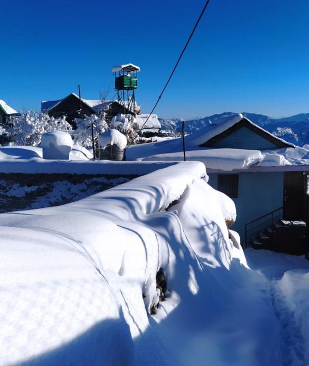 Photo of Others in Shimla
