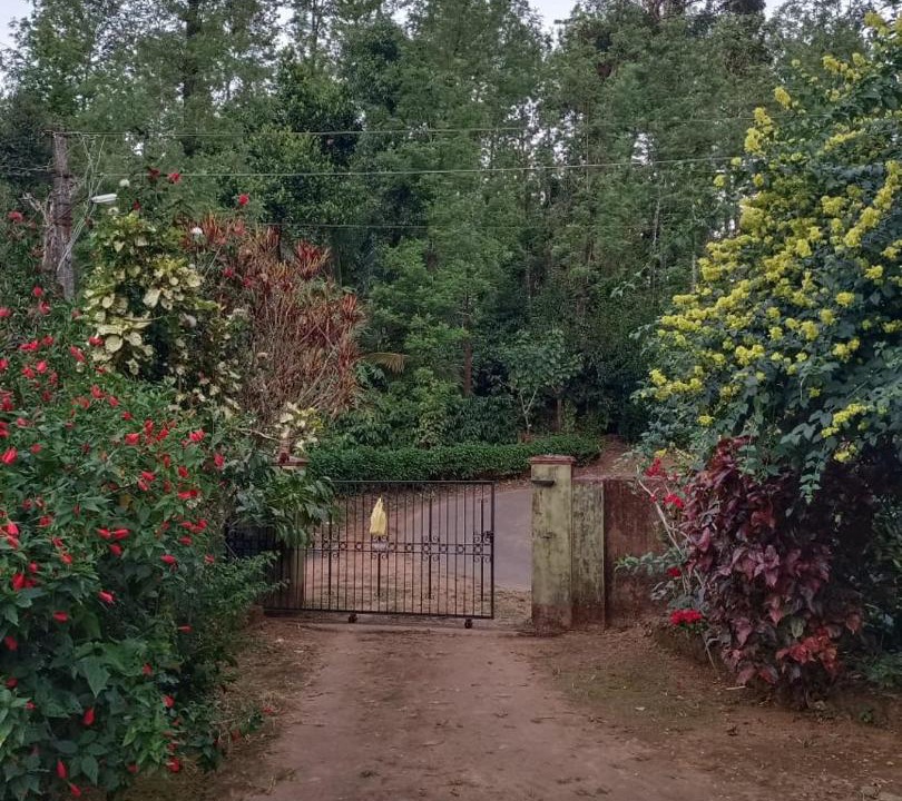 Photo of Others in Madikeri