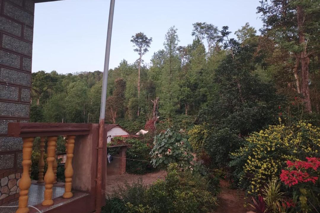 Photo of Others in Madikeri