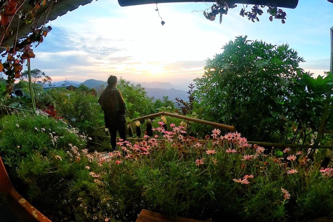 Photo of Others in Kodaikanal