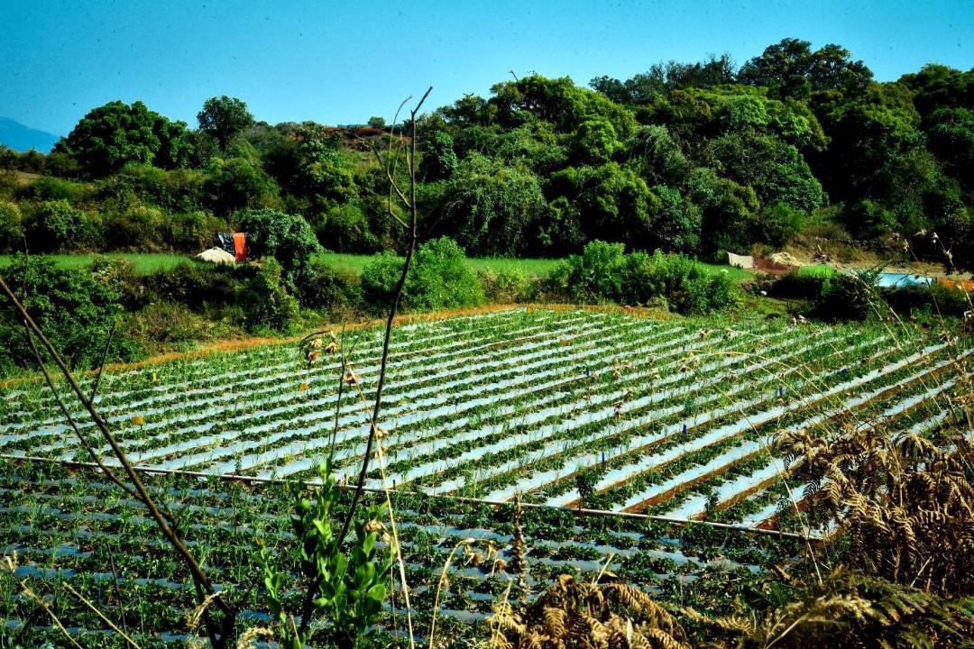 Photo of Others in Machutar