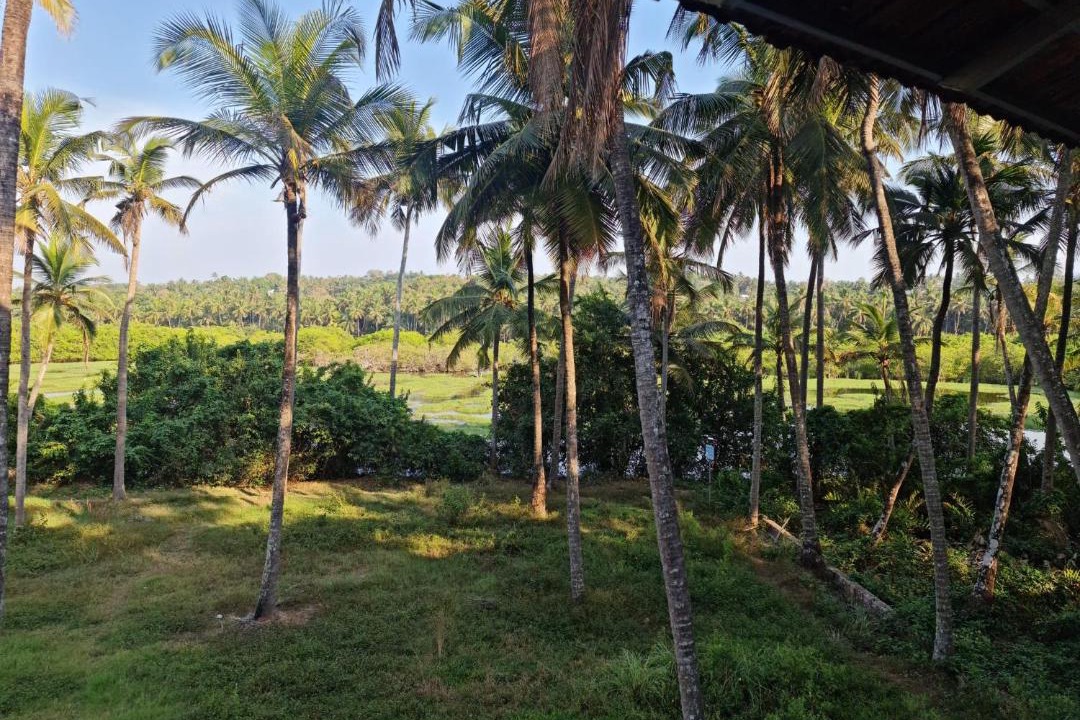 Photo of Others in Kannur