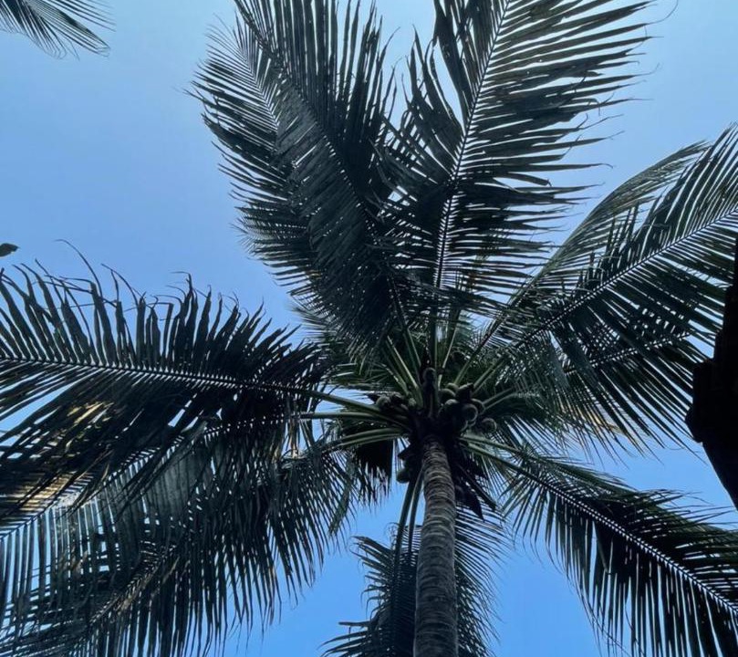 Photo of Outdoor in Alibaug