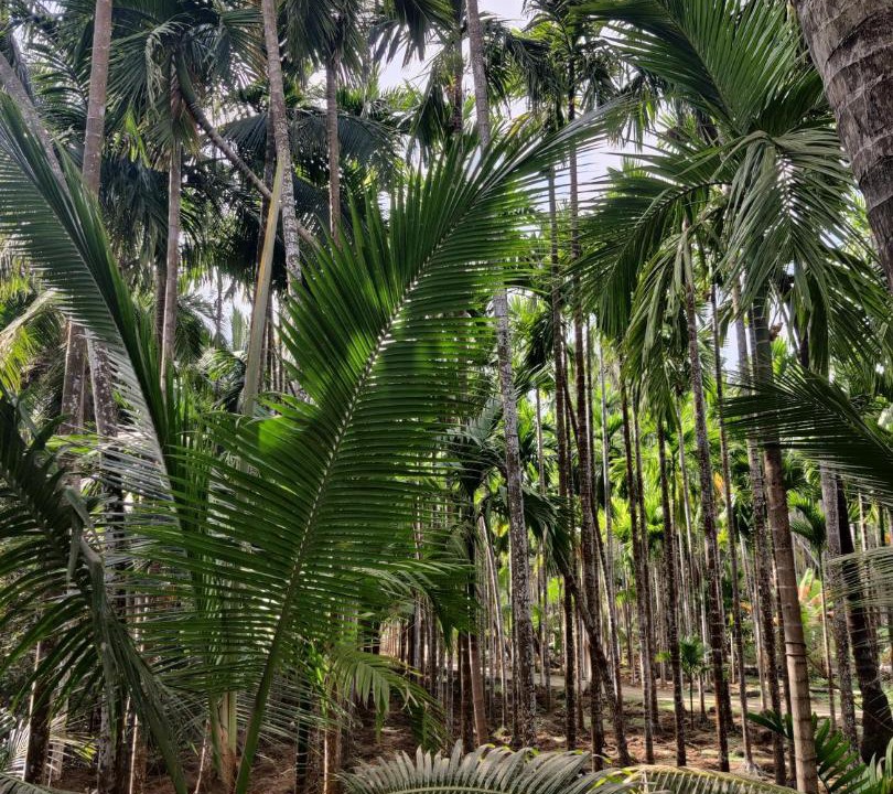 Photo of Others in Alibaug