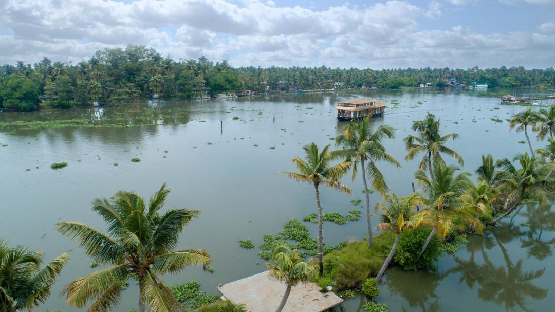 Photo of Others in Kochi