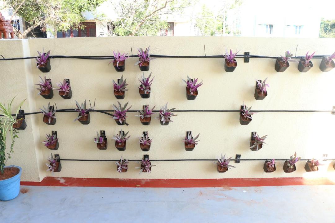 Photo of Others in Medavakkam
