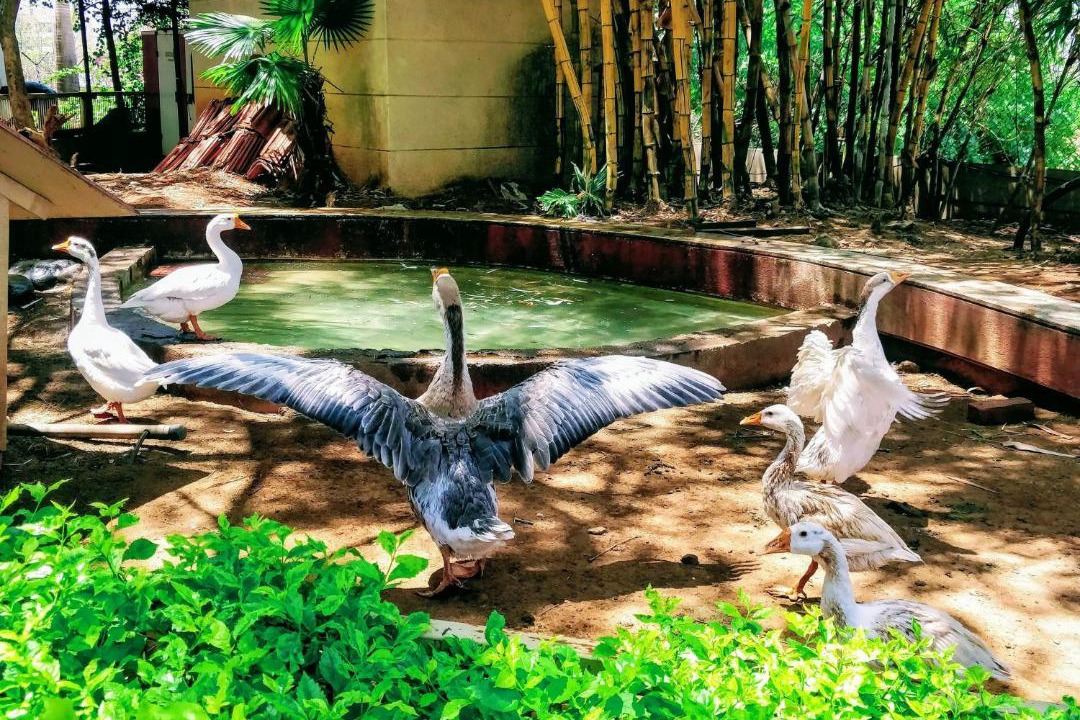 Photo of Others in Igatpuri