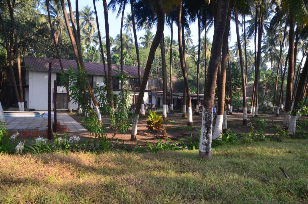 Photo of Others in Revadanda