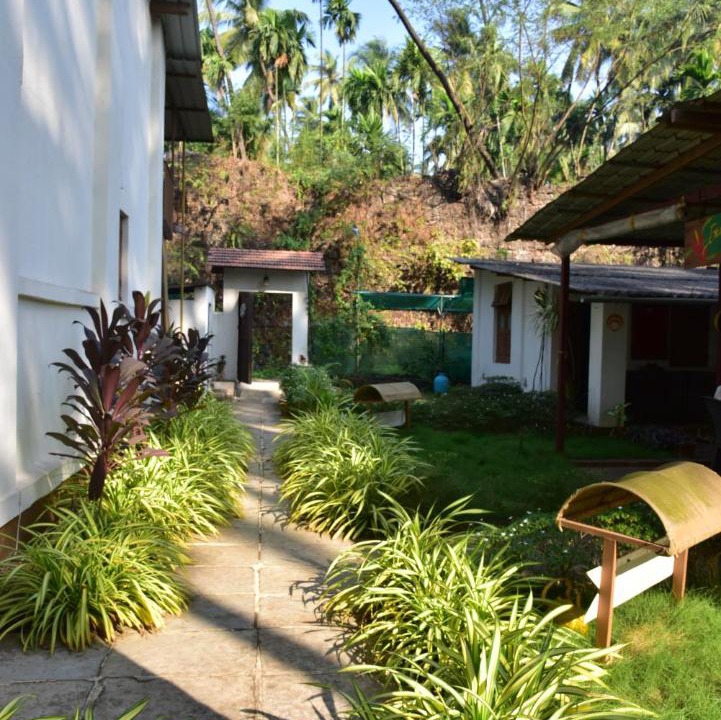 Photo of Buildings in Revadanda