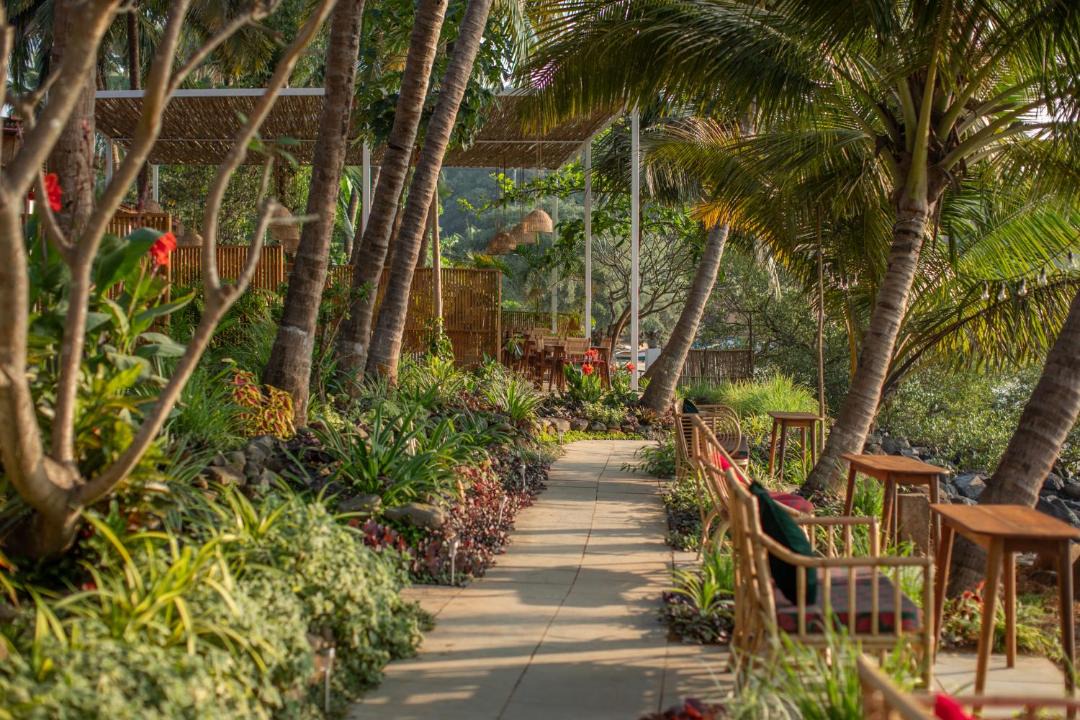 Photo of Others in Palolem