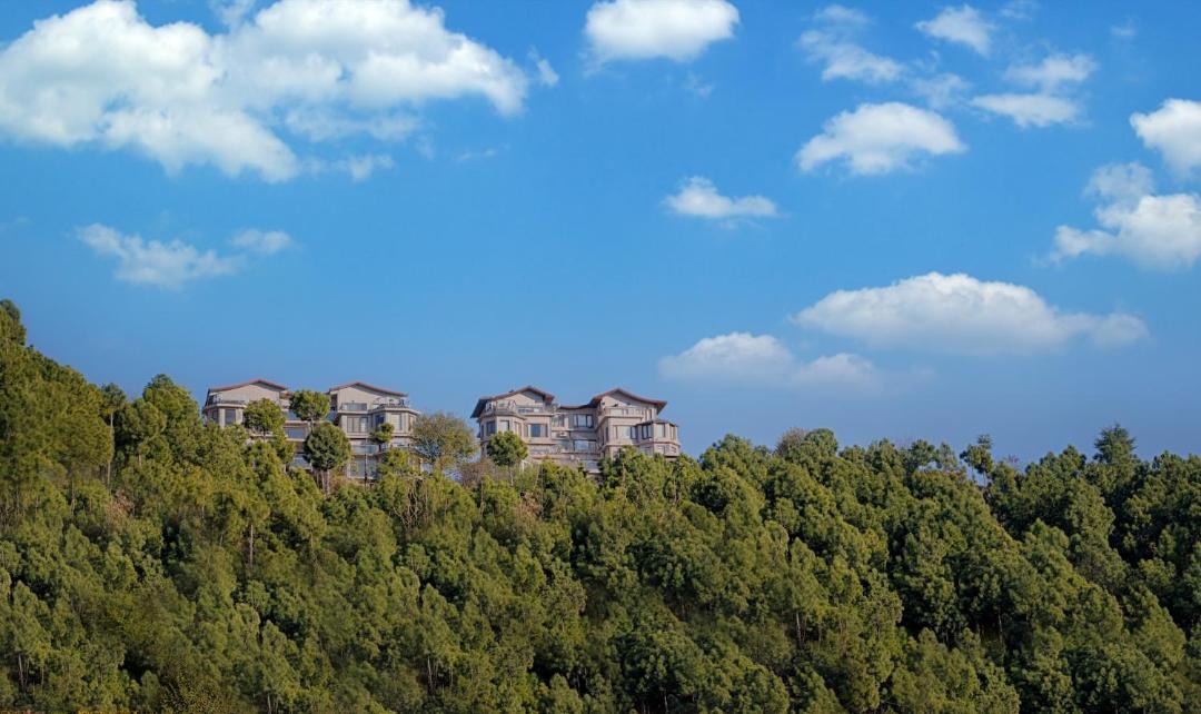 Photo of Others in Shimla