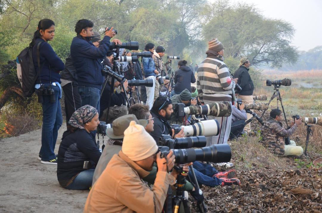 Photo of Others in Bharatpur