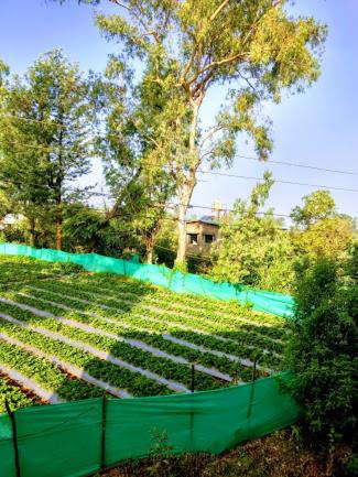 Photo of Outdoor in Gureghar