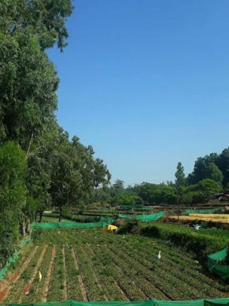 Photo of Outdoor in Gureghar