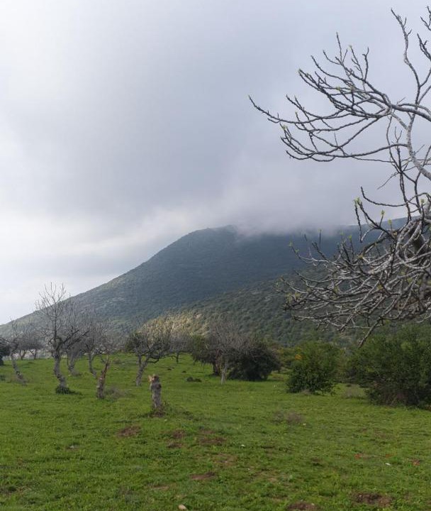 Photo of Outdoor in Idna