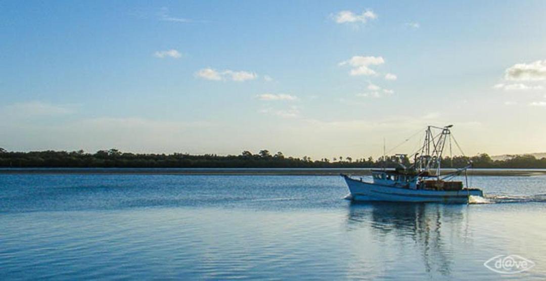 Photo of Others in Ballina