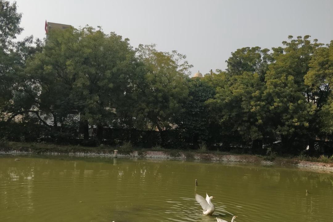 Photo of Others in Taj Ganj
