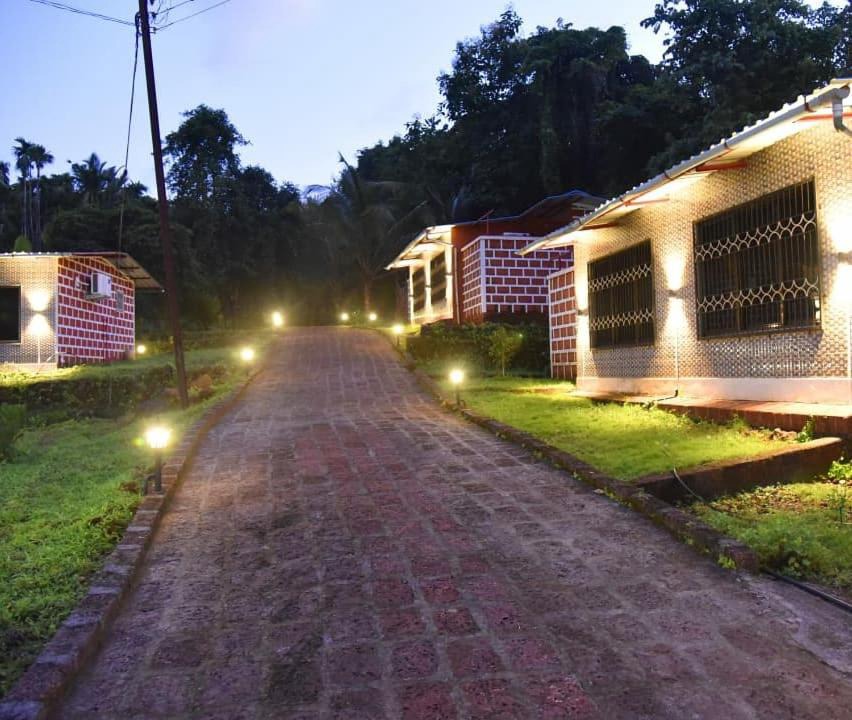 Photo of Others in Dapoli