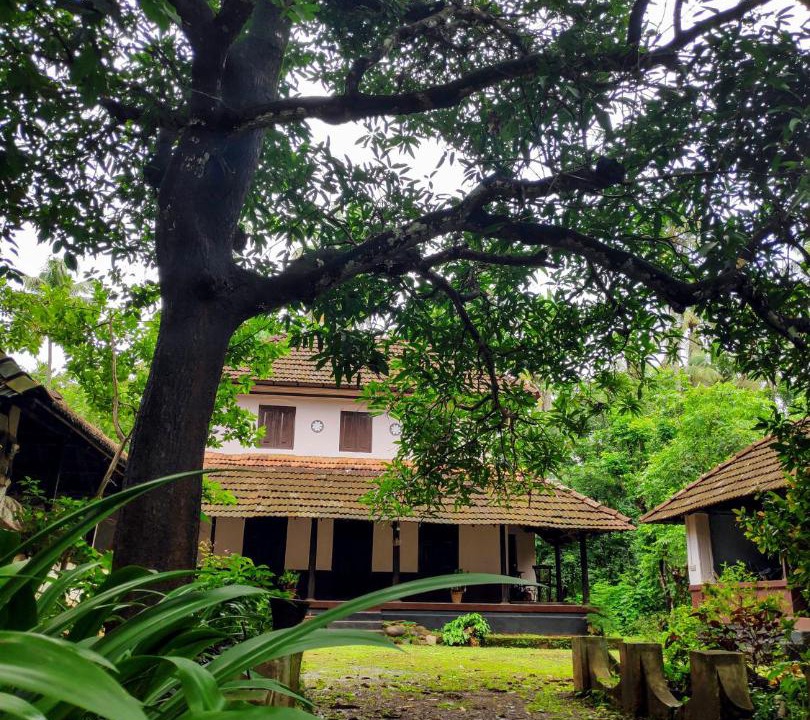Photo of Others in Thrissur