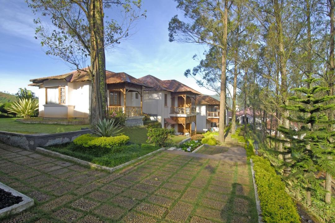 Photo of Others in Munnar