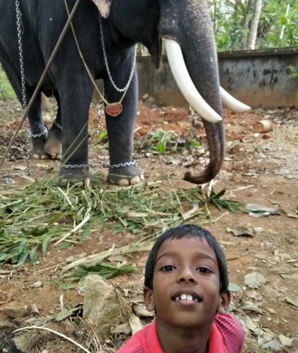 Photo of Human In Picture in Meenangadi