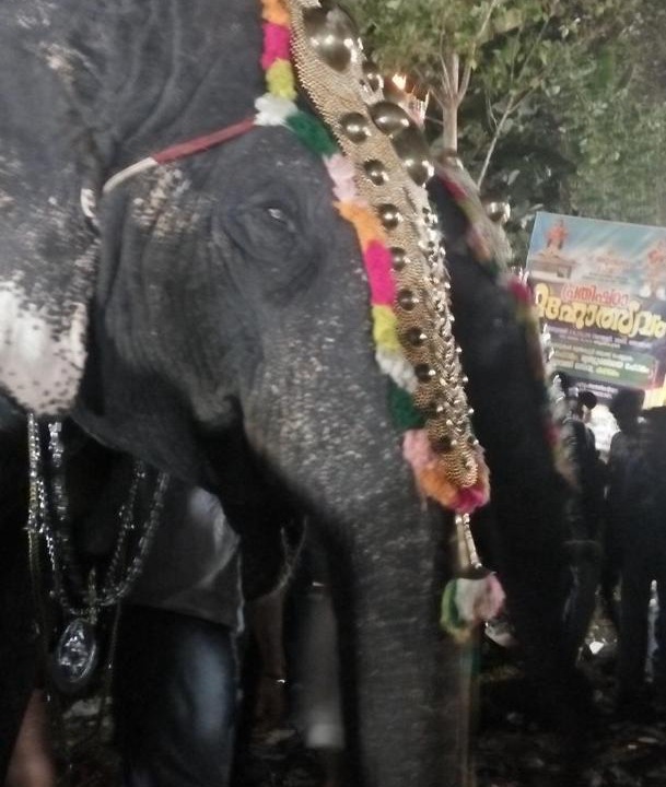 Photo of Others in Meenangadi