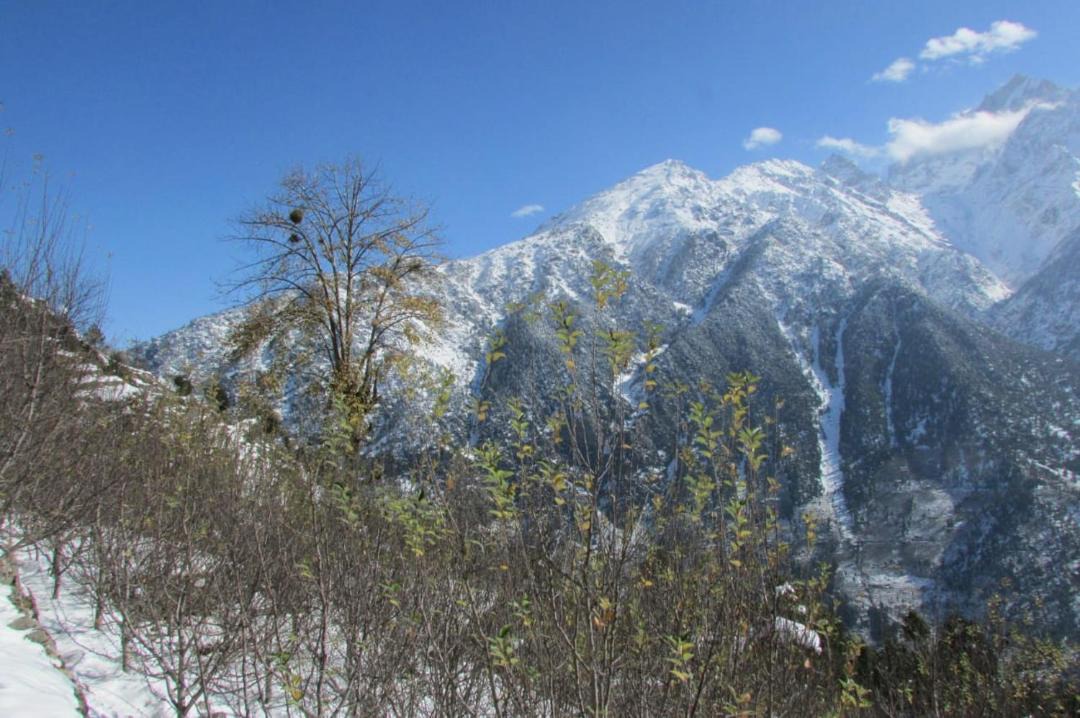 Photo of Others in Kalpa