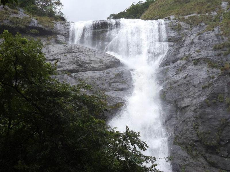Photo of Others in Punalur