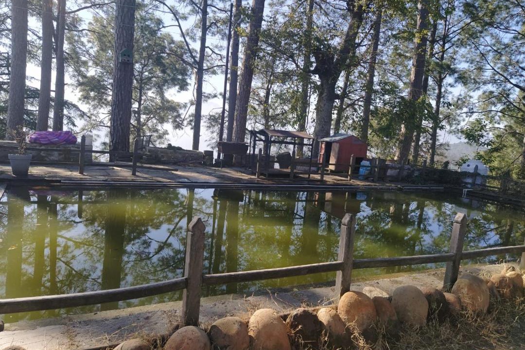 Photo of Others in Almora