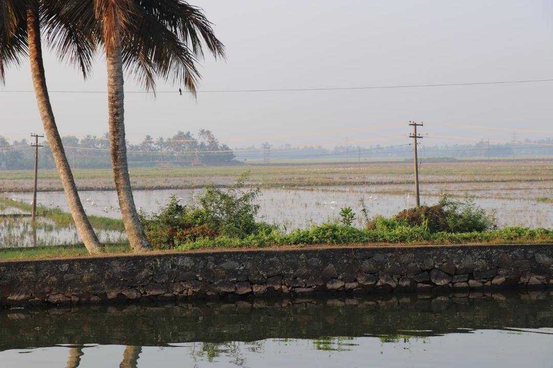 Photo of Others in Mararikulam