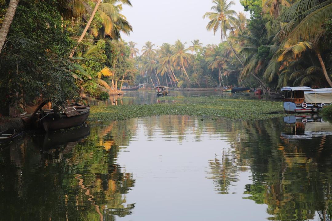 Photo of Others in Mararikulam