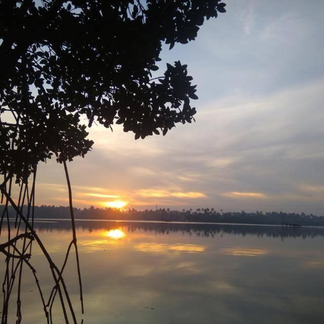 Photo of Others in Kuzhuppilly
