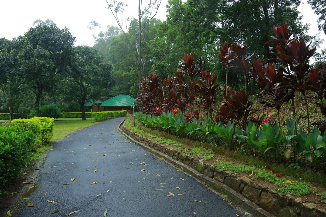 Photo of Others in Vagamon