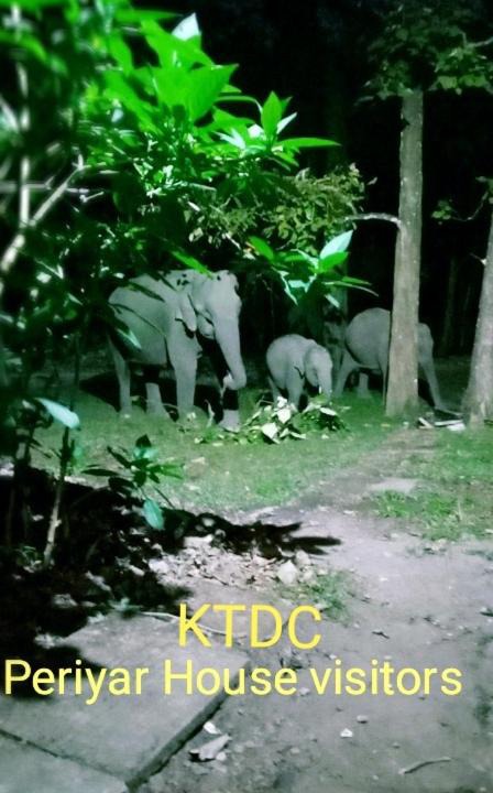 Photo of Others in Thekkady